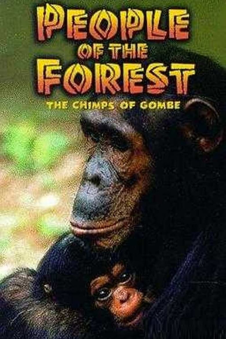 People of the Forest: The Chimps of Gombe i gruppen Alla filmer / Documentary hos Mohamad shop (657046)