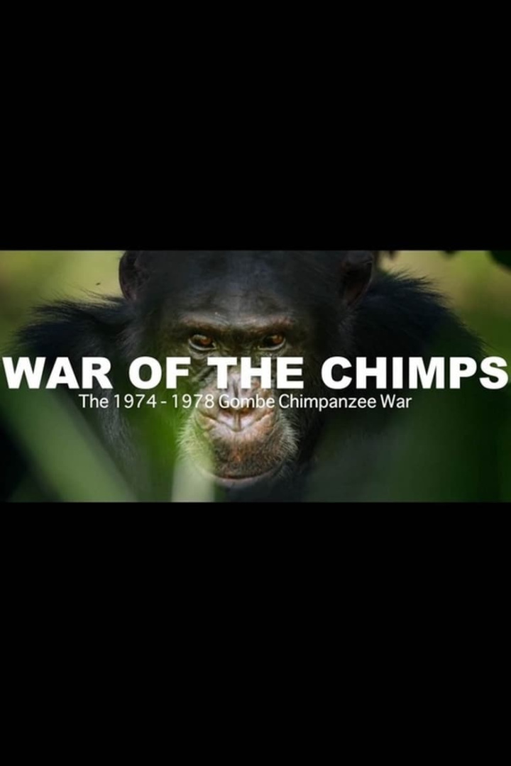World War Chimp | The Brutal 1974 - 1978 Gombe Chimpanzee War: Documentary i gruppen Alla filmer / Documentary hos Mohamad shop (657100)