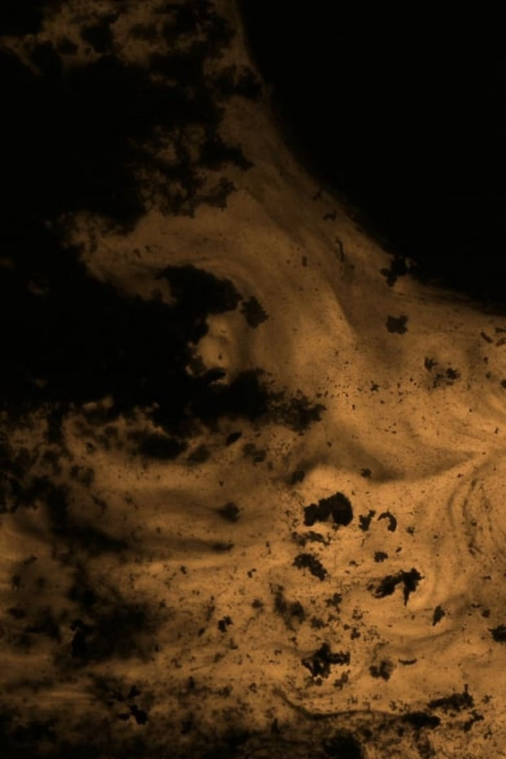 Under The Sun i gruppen Alla filmer hos Mohamad shop (657330)