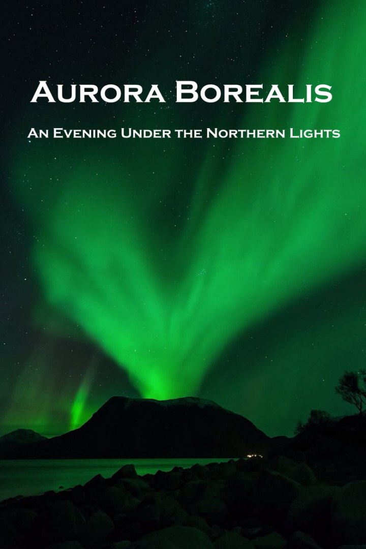 Aurora Borealis: An Evening under the Northern Lights i gruppen Alla filmer / Documentary hos Mohamad shop (657429)