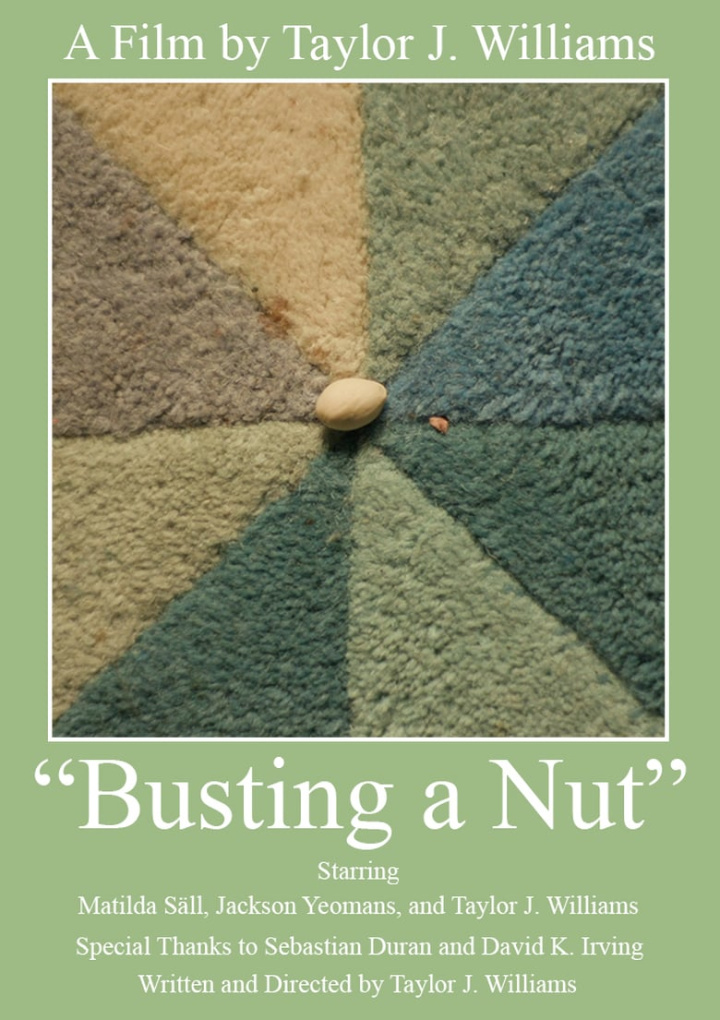 Busting a Nut i gruppen Alla filmer hos Mohamad shop (657734)