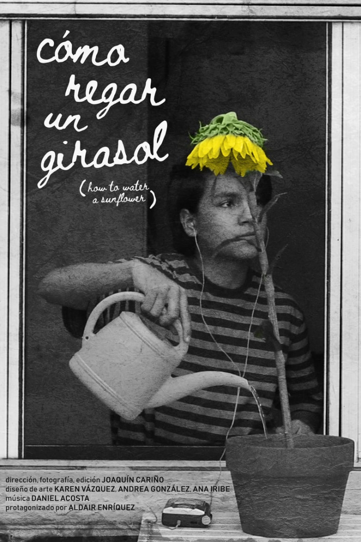 Cómo regar un girasol i gruppen Alla filmer / Fantasy hos Mohamad shop (658140)