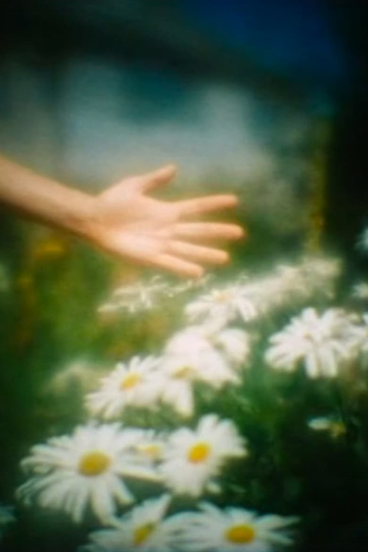 Camera Obscura i gruppen Alla filmer hos Mohamad shop (658525)