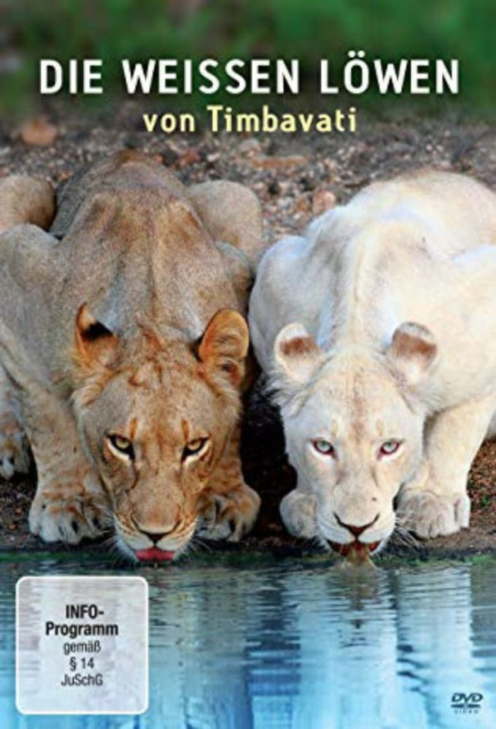 Die Weißen Löwen von Timbavati i gruppen Alla filmer / Documentary hos Mohamad shop (659369)