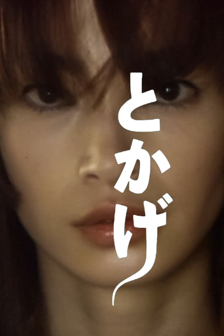 Lizard i gruppen Drama hos Mohamad shop (659485)