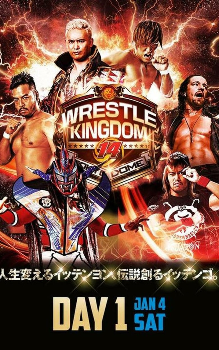 NJPW Wrestle Kingdom 14: Night 1 i gruppen Alla filmer hos Mohamad shop (659557)