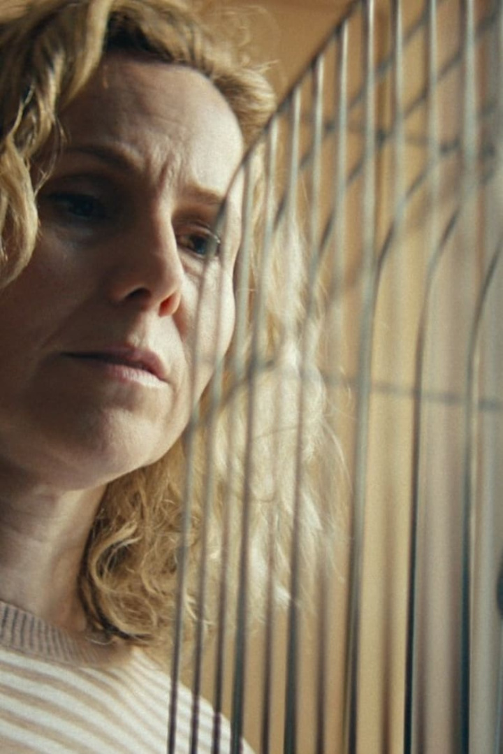 The Survivors Will Envy The Dead i gruppen Alla filmer / Drama hos Mohamad shop (659815)