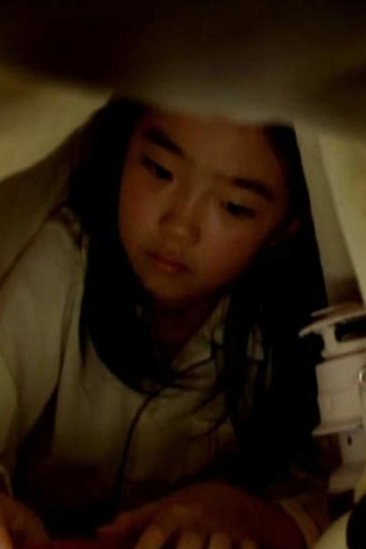 The Auction i gruppen Alla filmer / Family hos Mohamad shop (660018)