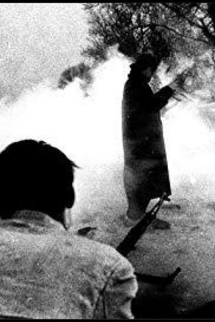 The Shadow Century i gruppen Alla filmer hos Mohamad shop (660291)