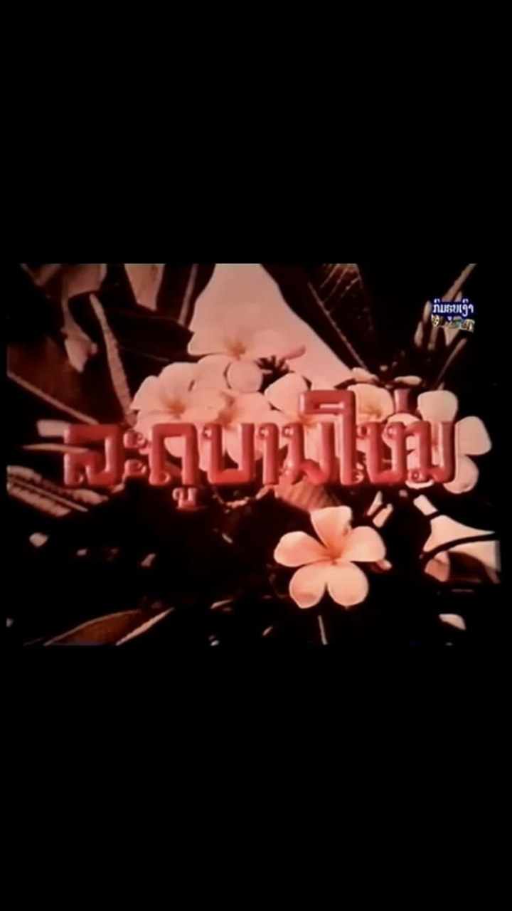 New Spring i gruppen Alla filmer / Music hos Mohamad shop (660718)