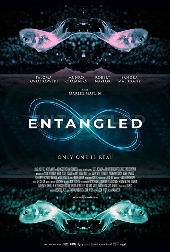 Entangled i gruppen Alla filmer hos Mohamad shop (660833)