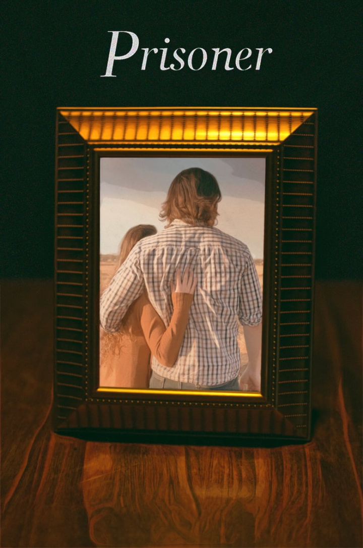 Prisoner i gruppen Alla filmer hos Mohamad shop (661456)