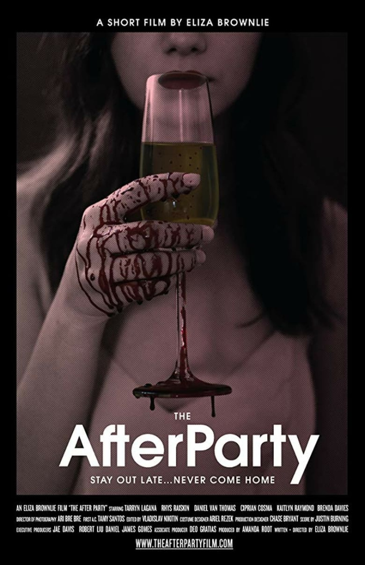 The After Party i gruppen Alla filmer hos Mohamad shop (661665)