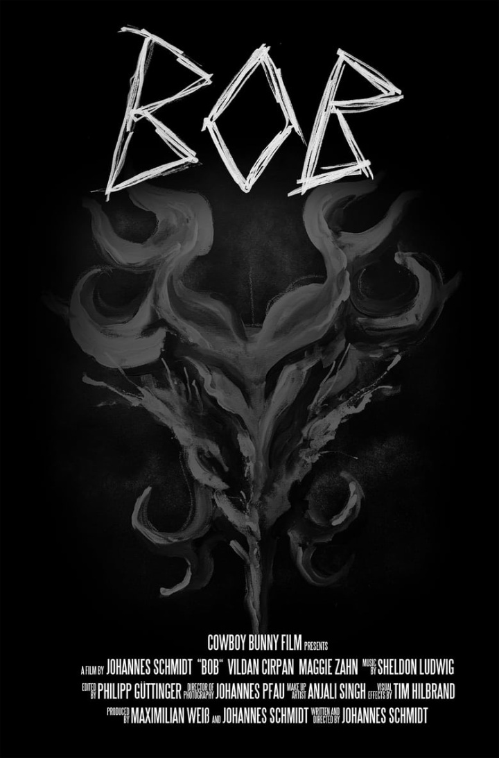 BOB i gruppen Alla filmer hos Mohamad shop (661790)