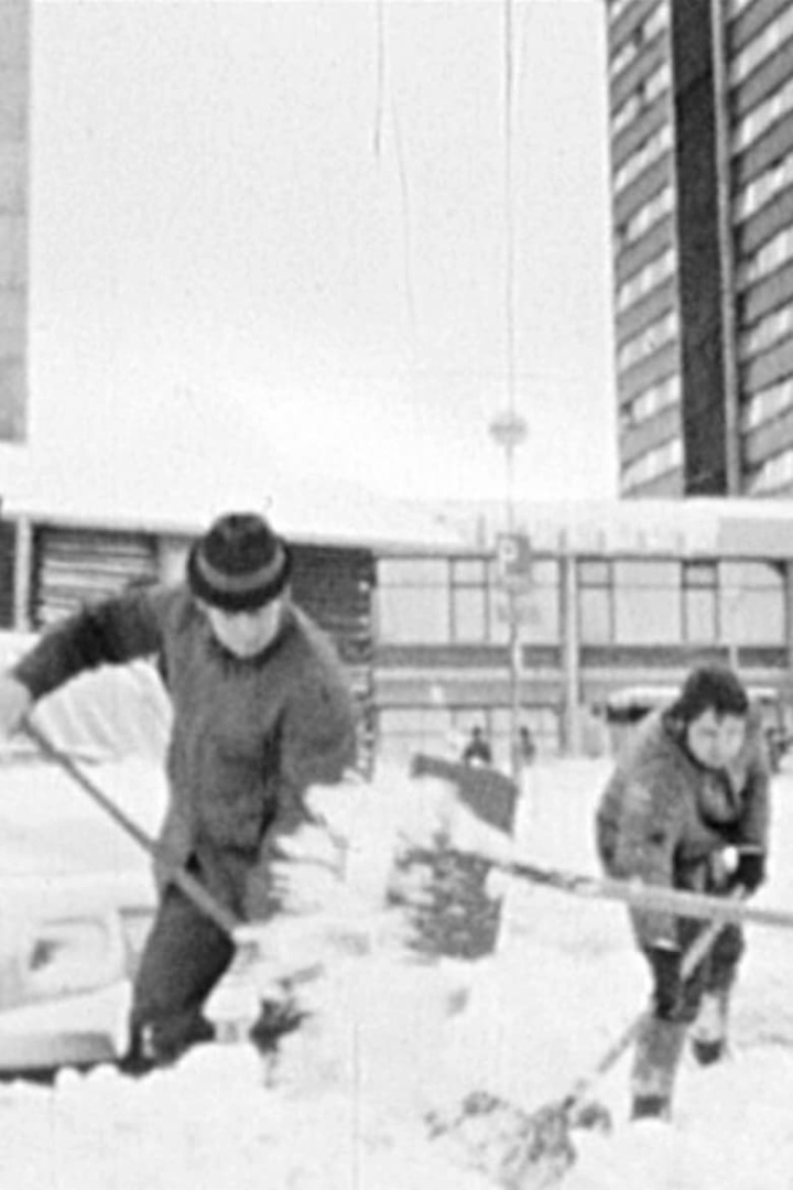 Der Katastrophenwinter 1978/79 in Oberhof i gruppen Alla filmer / Documentary hos Mohamad shop (661843)