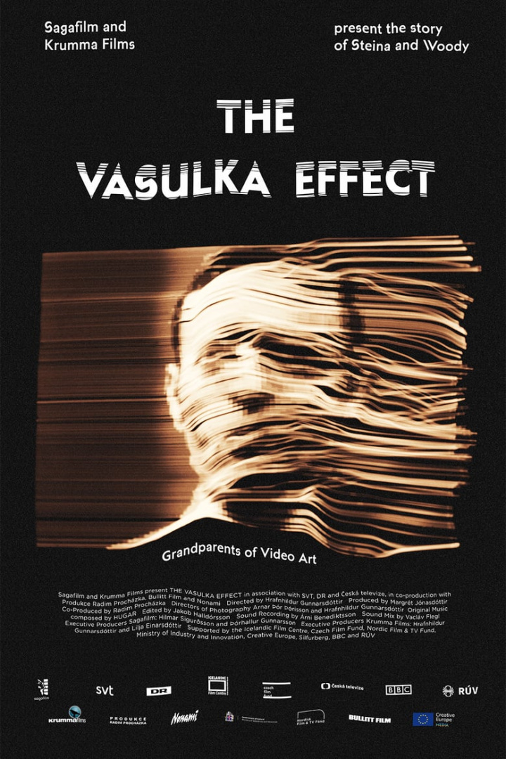 The Vasulka Effect i gruppen Alla filmer / Documentary hos Mohamad shop (662070)