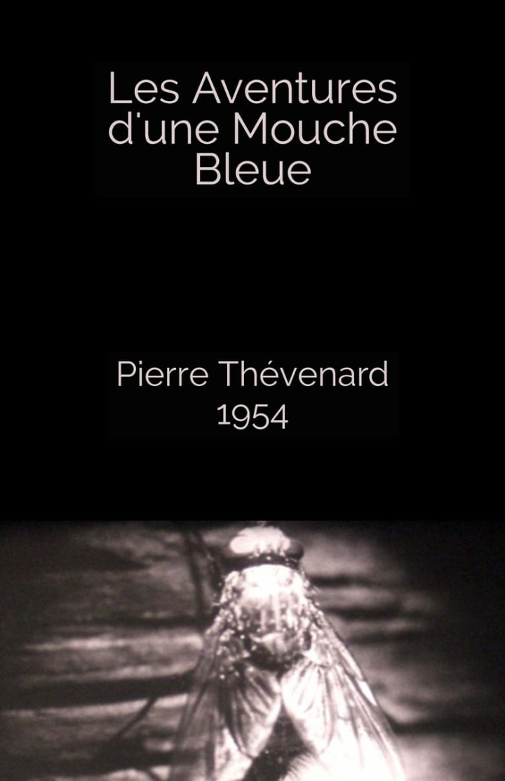 The Adventures of a Blue Fly i gruppen Alla filmer / Documentary hos Mohamad shop (662088)