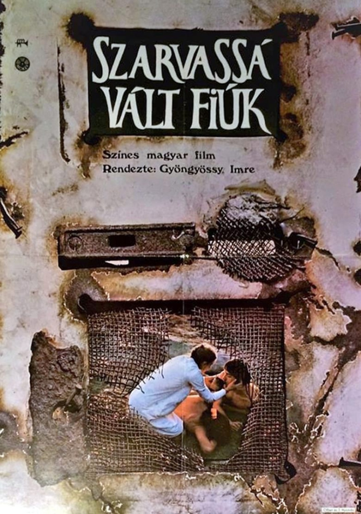 Sons of Fire i gruppen Alla filmer hos Mohamad shop (662308)