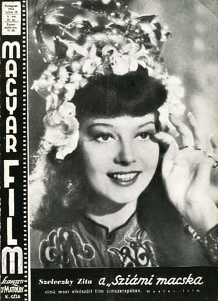 Siamese Cat i gruppen Alla filmer / Comedy hos Mohamad shop (662314)