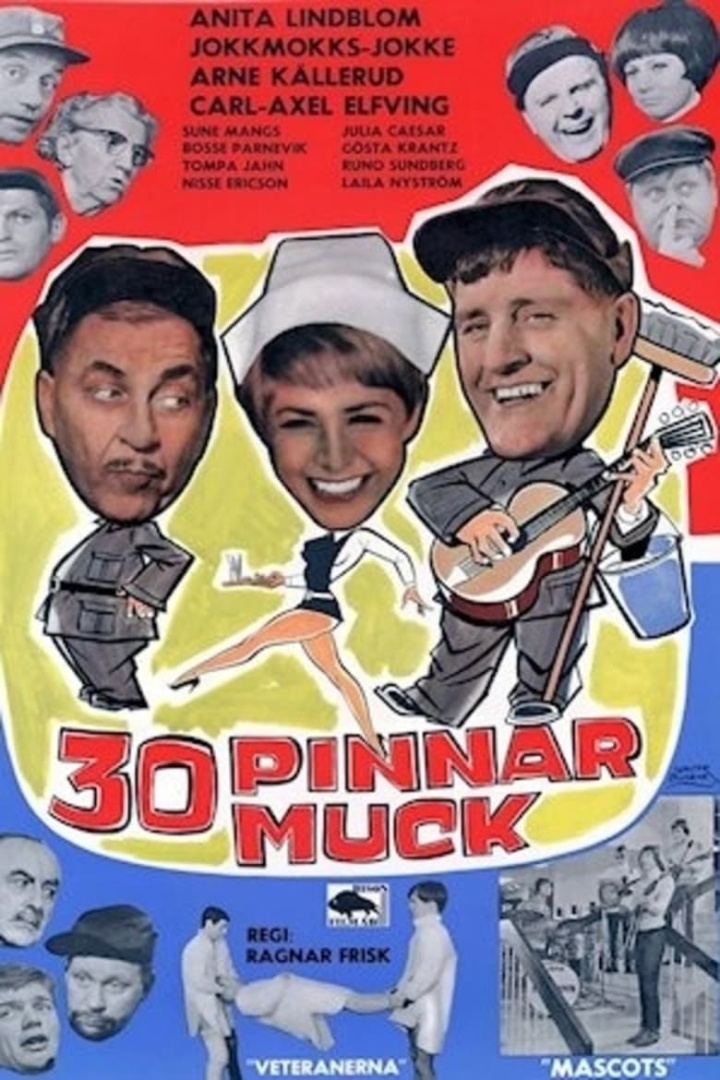 30 pinnar muck i gruppen Alla filmer hos Mohamad shop (662331)