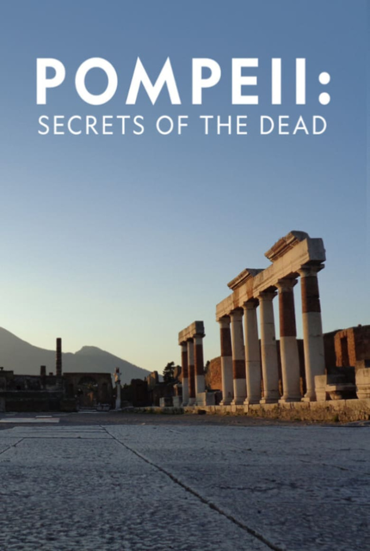Pompeii: Secrets of the Dead i gruppen Alla filmer / Documentary hos Mohamad shop (662389)