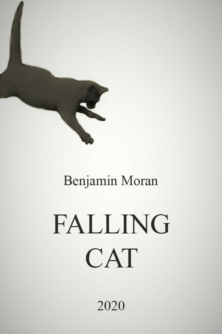 Falling Cat i gruppen Alla filmer / Documentary hos Mohamad shop (663039)