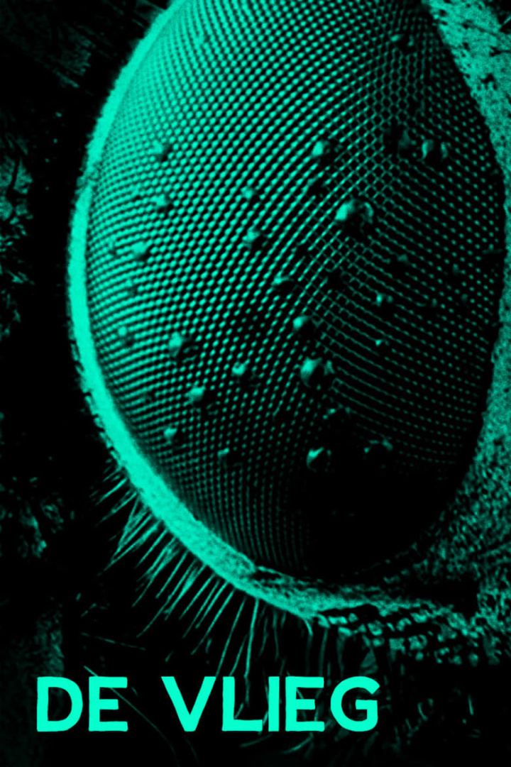 De Vlieg i gruppen Alla filmer / Horror hos Mohamad shop (663122)