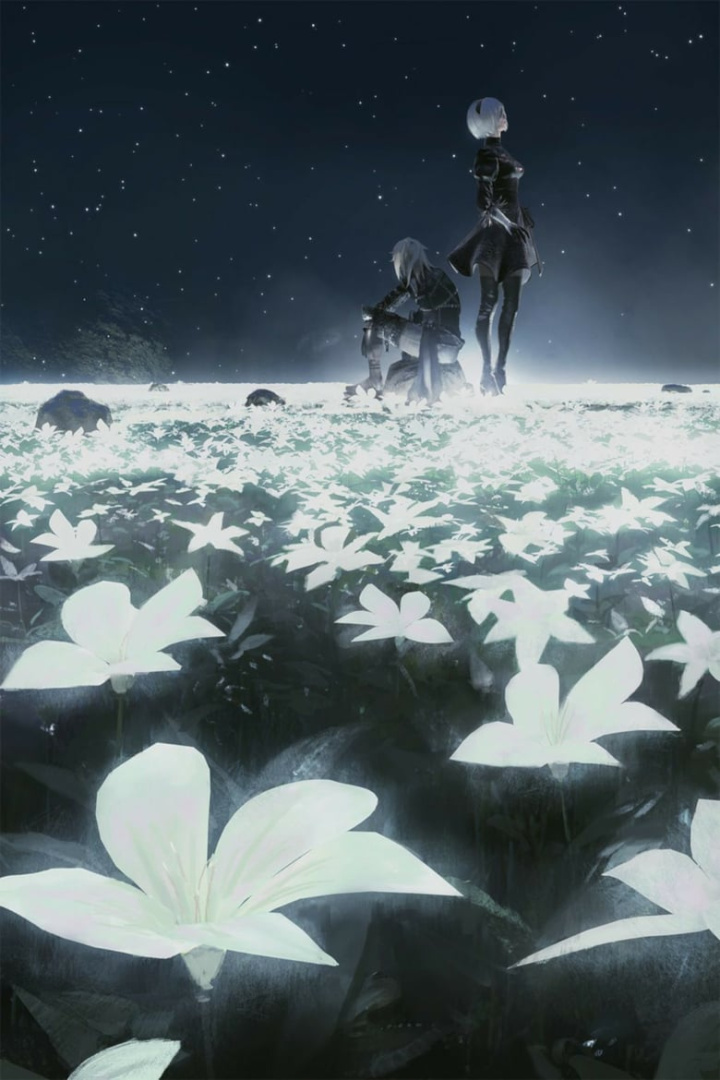 NieR Orchestra Concert 12018 i gruppen Alla filmer / Science Fiction hos Mohamad shop (663336)