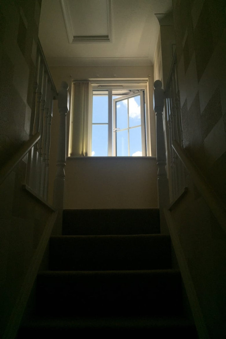 Scenes from My Life i gruppen Alla filmer / Documentary hos Mohamad shop (663362)