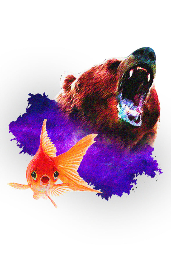 Fred! i gruppen Alla filmer / Western hos Mohamad shop (663405)