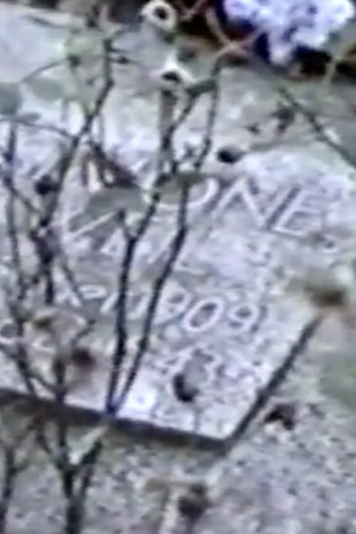 Simone Weil Avenue i gruppen Alla filmer / Documentary hos Mohamad shop (663790)