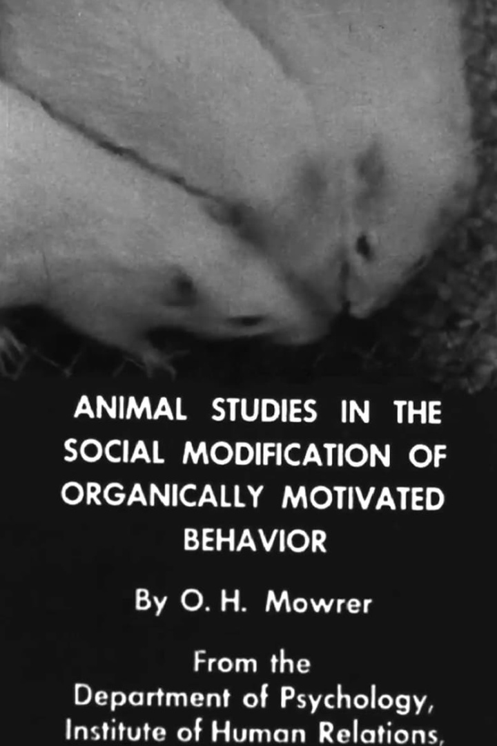 Animal Studies in the Social Modification of Organically Motivated Behavior i gruppen Alla filmer / Documentary hos Mohamad shop (664403)