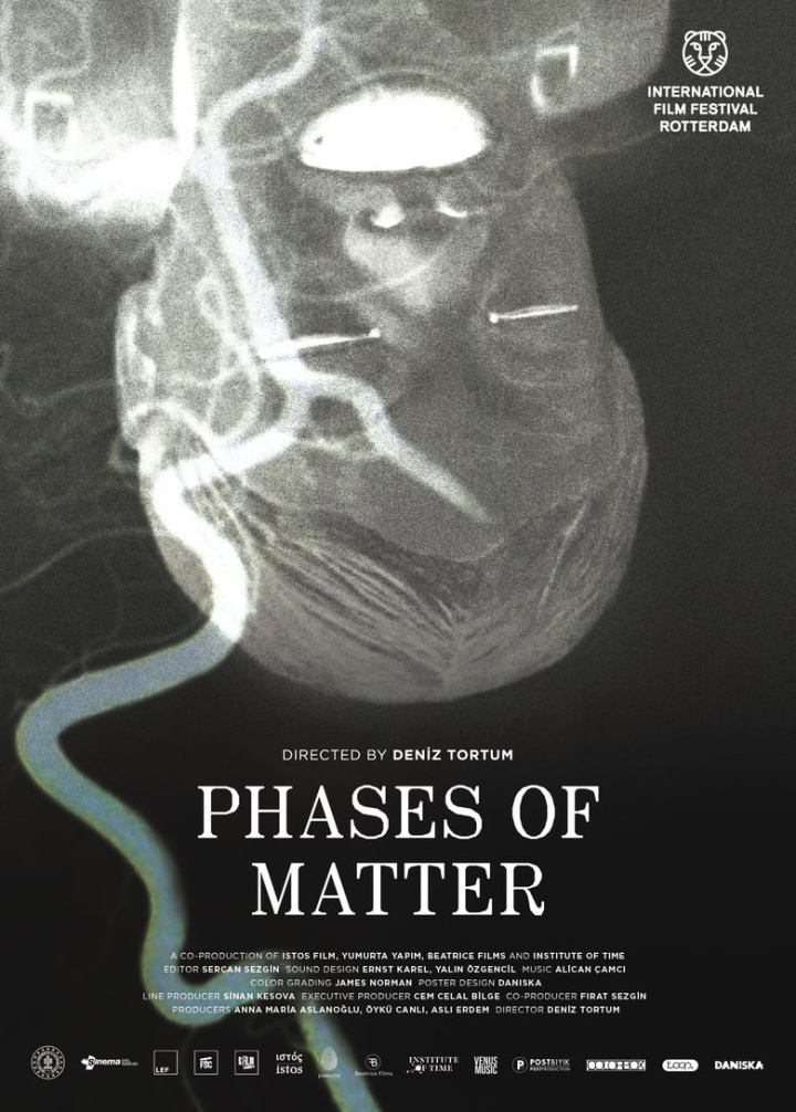 Phases of Matter i gruppen Alla filmer hos Mohamad shop (664691)