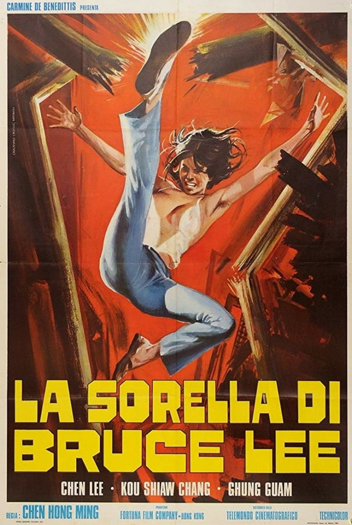 Chiu Chow Kung Fu i gruppen Alla filmer / Action hos Mohamad shop (664927)