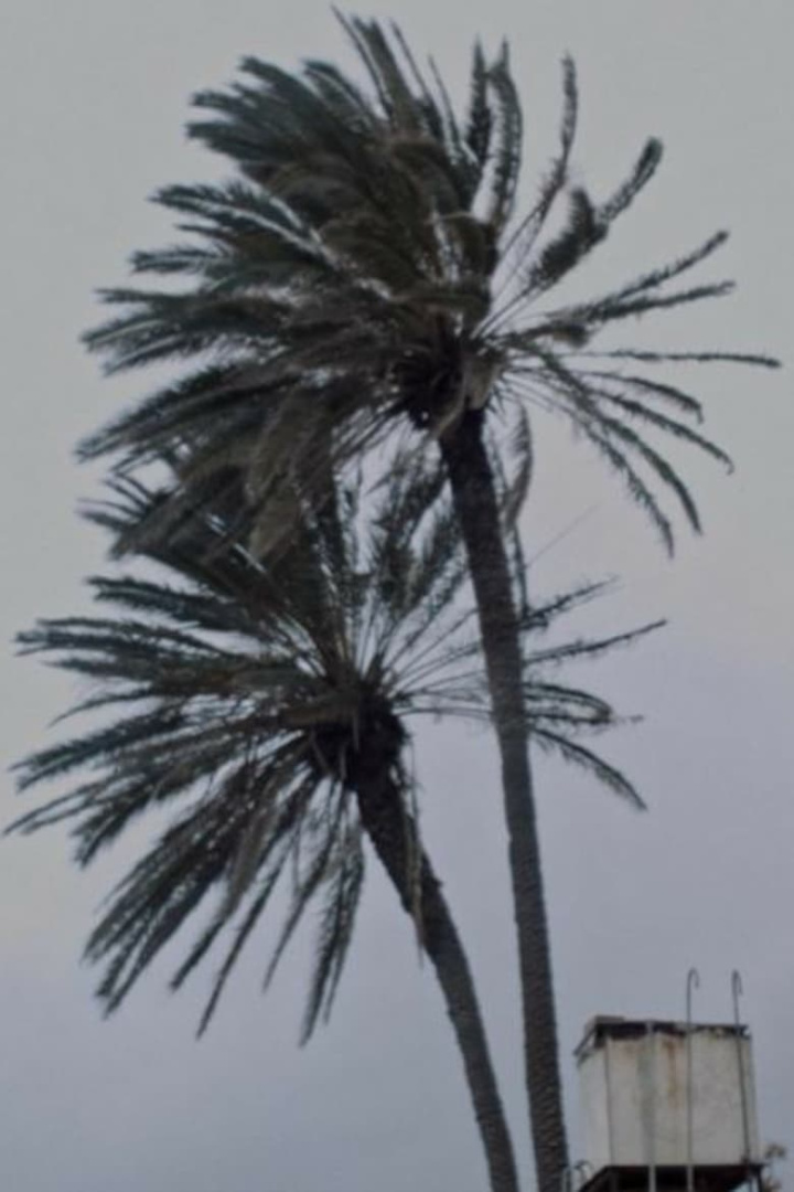 Landscape at Noon i gruppen Alla filmer hos Mohamad shop (665223)