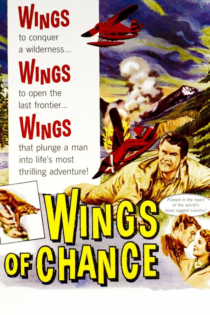 Wings of Chance i gruppen Alla filmer / Adventure hos Mohamad shop (665467)