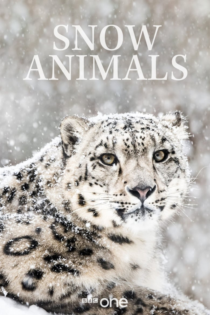 Snow Animals i gruppen Alla filmer / Documentary hos Mohamad shop (665797)