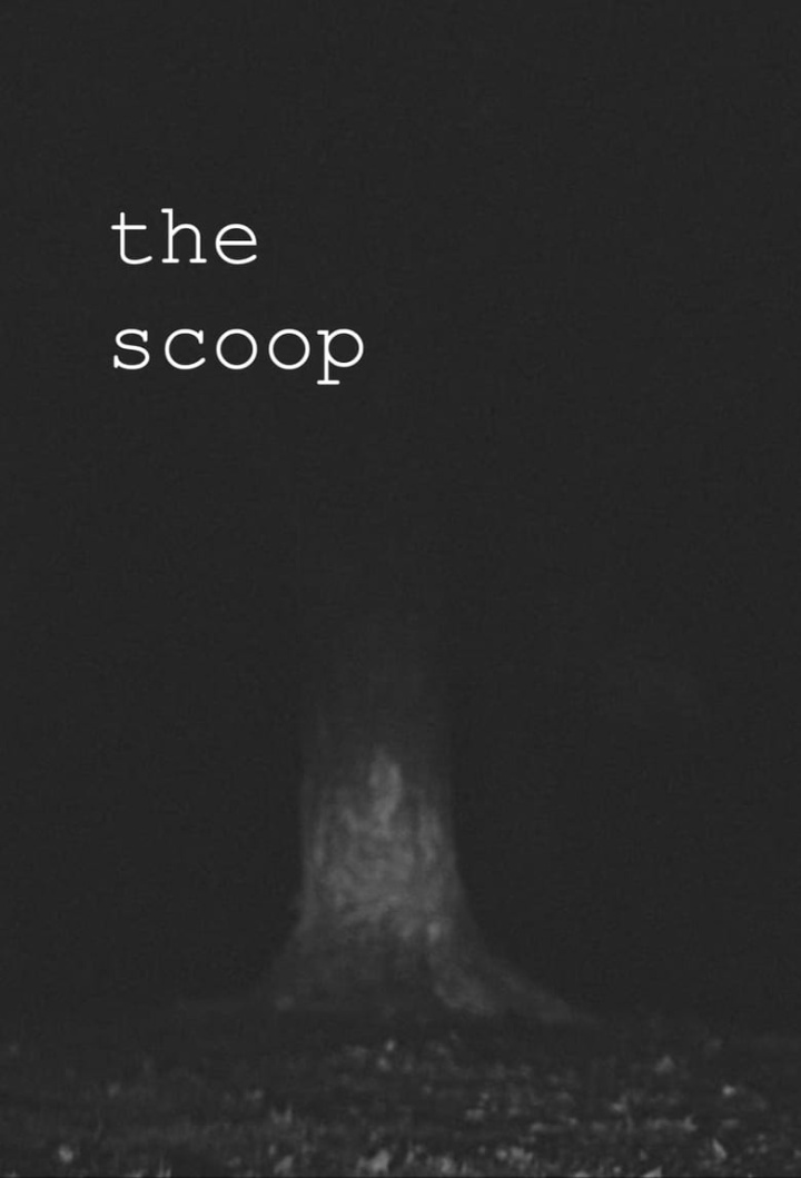 The Scoop i gruppen Alla filmer hos Mohamad shop (667228)
