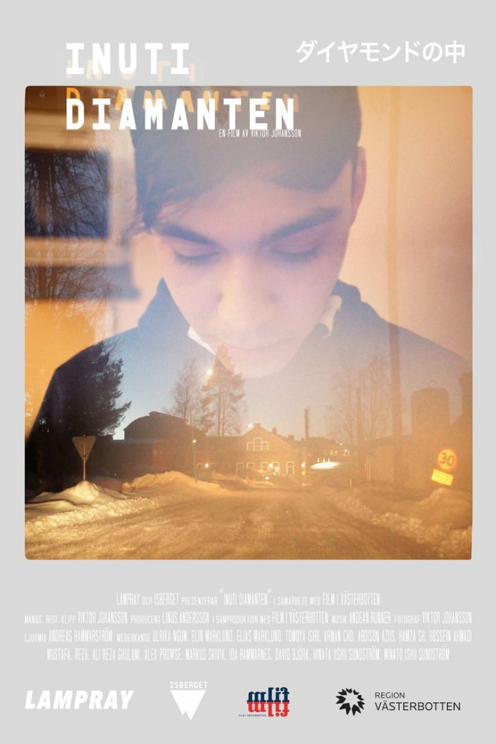 Inuti diamanten i gruppen Alla filmer hos Mohamad shop (667315)