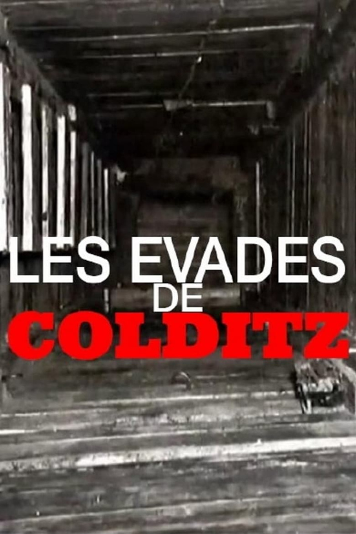 Colditz - Les évadés de la forteresse d\'Hitler i gruppen Alla filmer / Documentary hos Mohamad shop (668405)