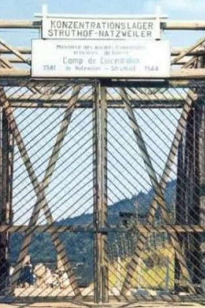 Struthof, le camp oublié i gruppen Alla filmer / Documentary hos Mohamad shop (668459)