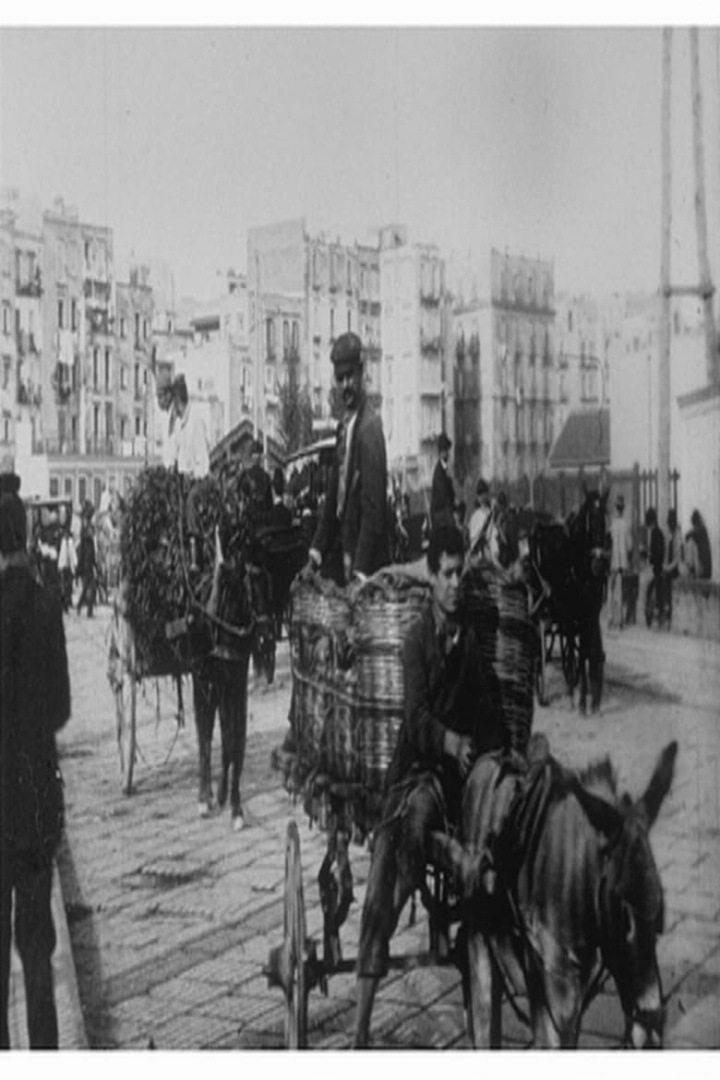 Via Marina i gruppen Alla filmer hos Mohamad shop (668555)