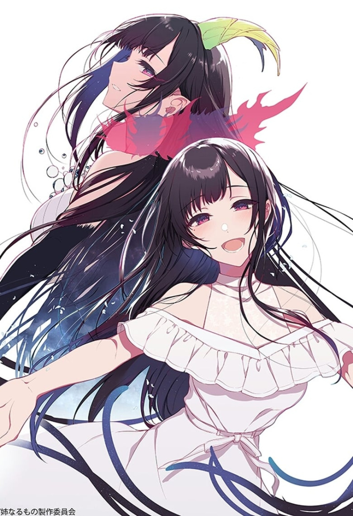 姉なるもの i gruppen Alla filmer hos Mohamad shop (668558)