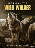 Germany\'s Wild Wolves - As They Really Are