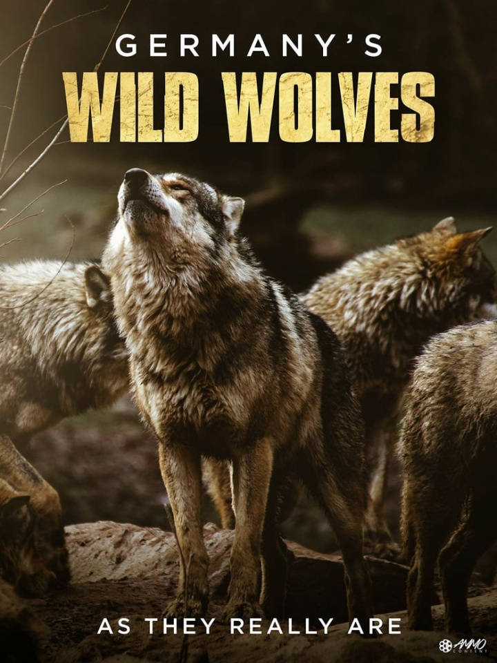 Germany\'s Wild Wolves - As They Really Are i gruppen Alla filmer / Documentary hos Mohamad shop (668738)
