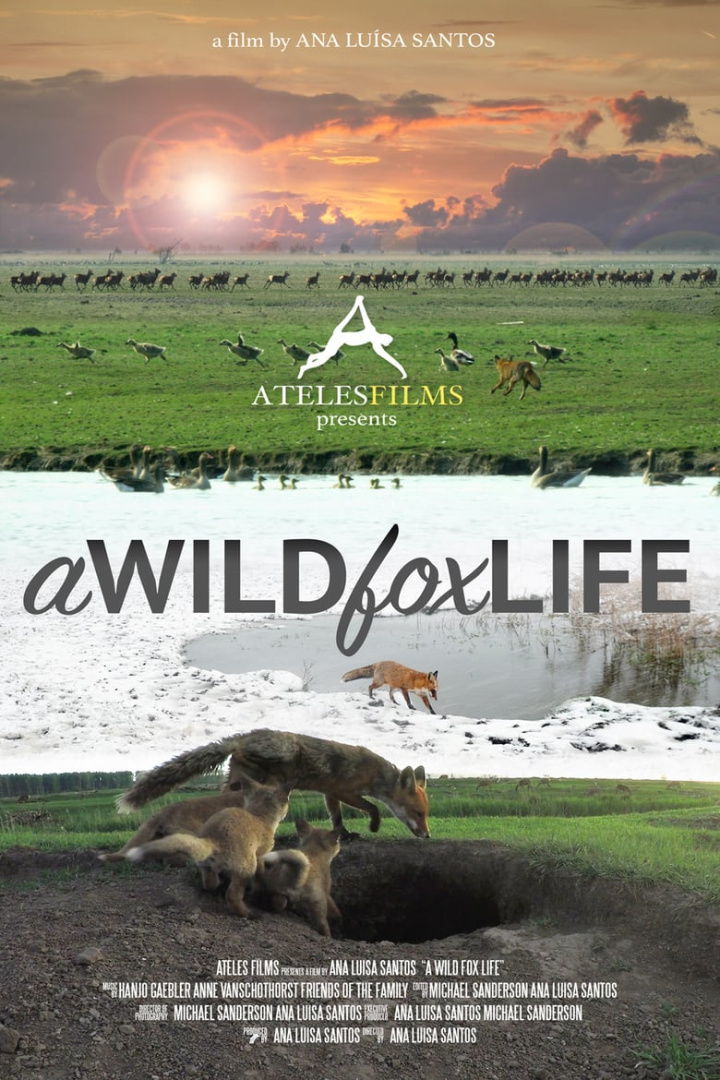 A Wild Fox Life i gruppen Alla filmer / Documentary hos Mohamad shop (669350)