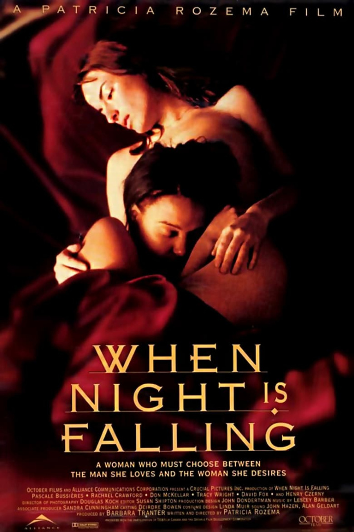 When Night Is Falling i gruppen Alla filmer hos Mohamad shop (8391)