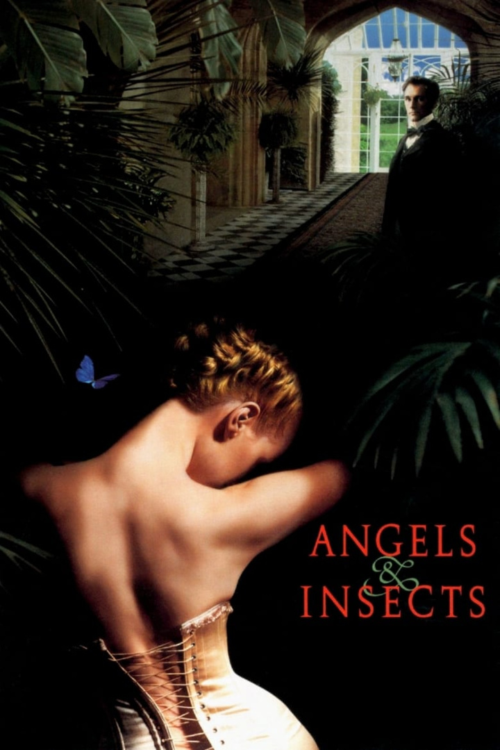 Angels and Insects i gruppen Alla filmer / Romance hos Mohamad shop (8447)