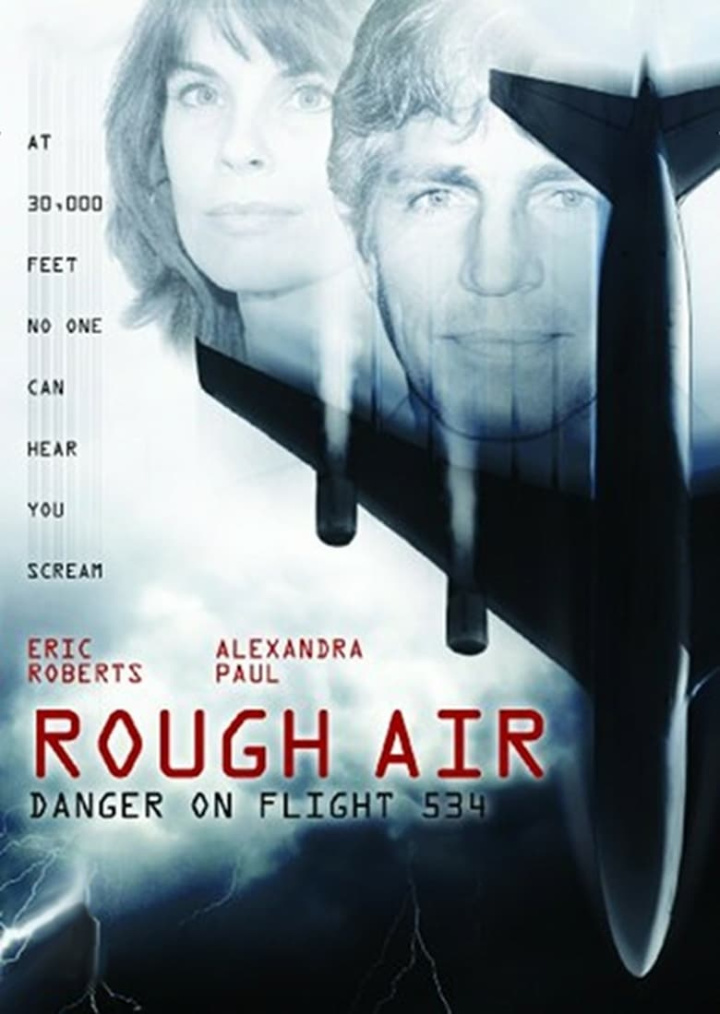 Rough Air: Danger on Flight 534 i gruppen Drama hos Mohamad shop (8664)
