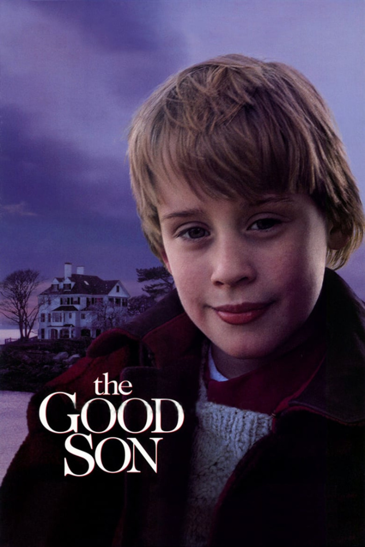 The Good Son i gruppen Alla filmer / Thriller hos Mohamad shop (9272)